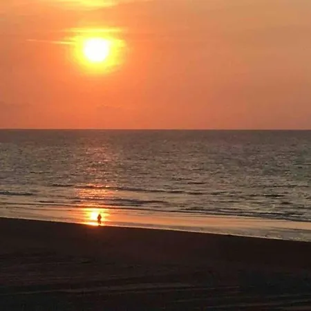 Near Dunes And Sea, Cleaning Included