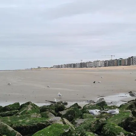 Near Dunes And Sea, Cleaning Included Apartment *